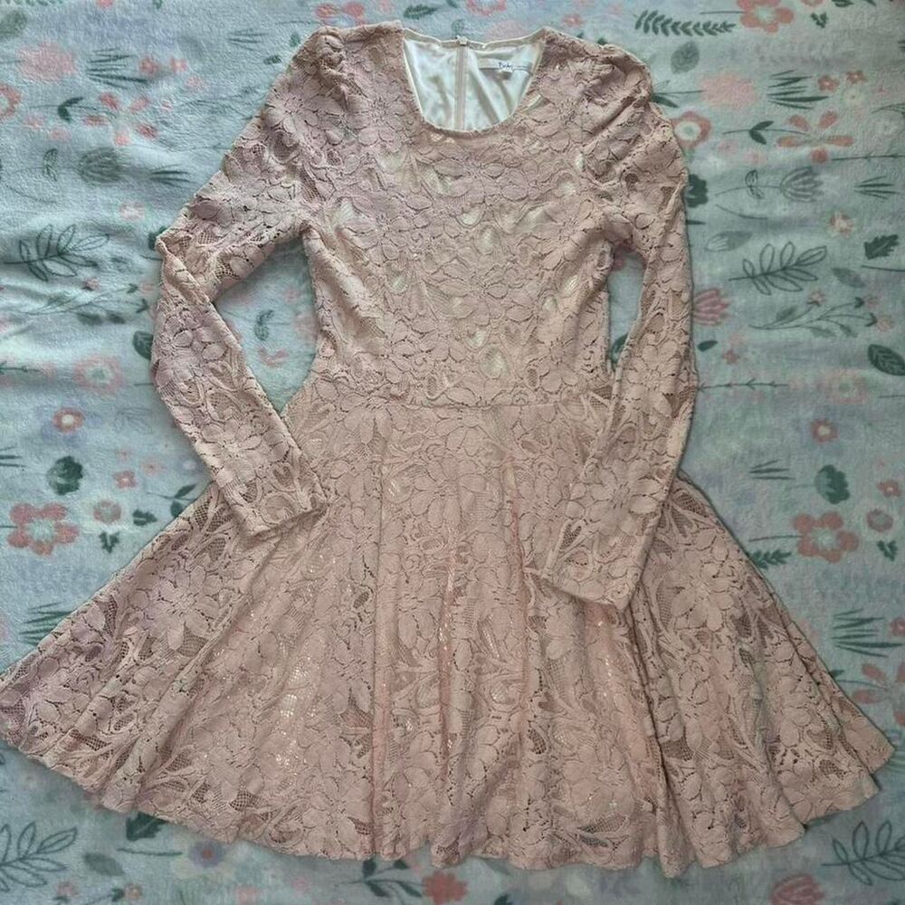 Odri Floral Lace Mini Dress S Long Sleeve Tumblr Indie Fairy Coquette Ballet Y2K